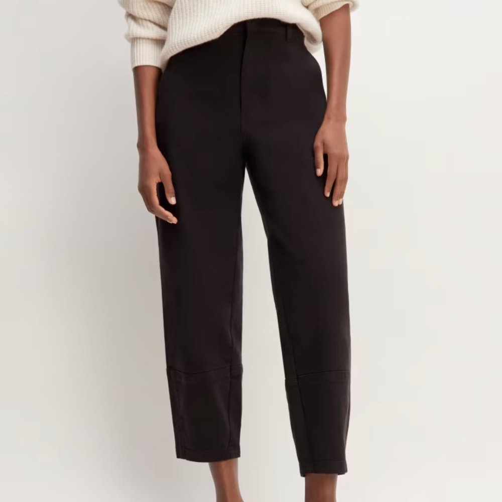 Everlane The Utility Barrel Pant